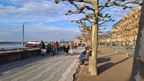 Makler Duesseldorf