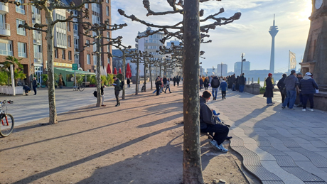 Makler Duesseldorf