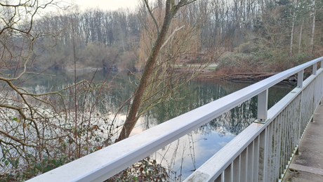 Immobilienmakler Fuehlingen