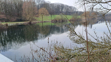 Makler Fuehlingen