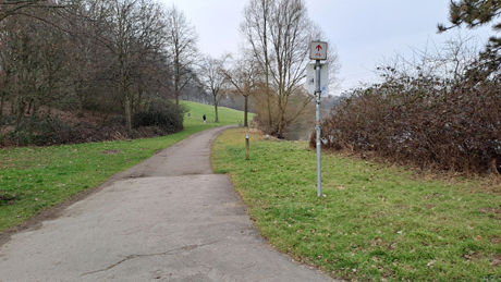 Immobilienmakler Fuehlingen