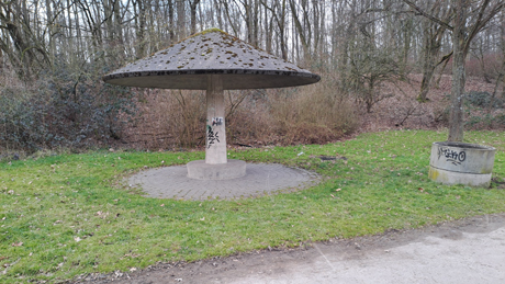 Makler Fuehlingen