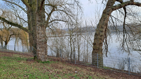 Immobilienmakler Fuehlingen