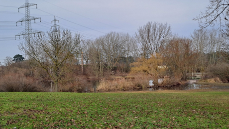 Makler Fuehlingen