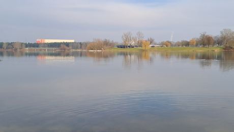 Makler Fuehlingen
