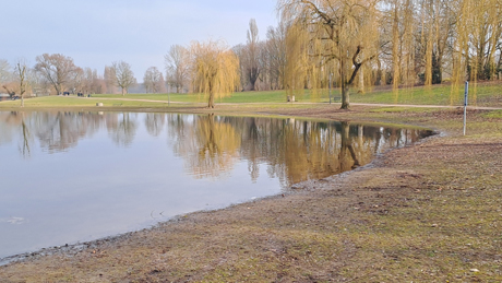 Immobilienmakler Fuehlingen