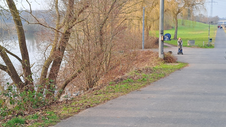 Makler Fuehlingen