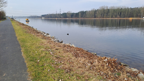 Makler Fuehlingen