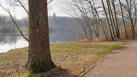 Makler Fuehlingen