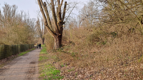 Makler Fuehlingen